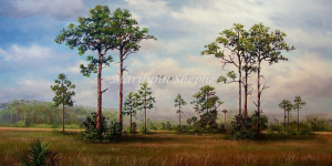 Everglades Pines
