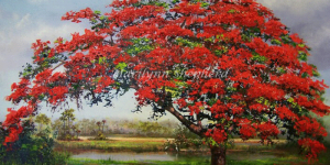 Poinciana