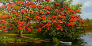 Poinciana and Boat